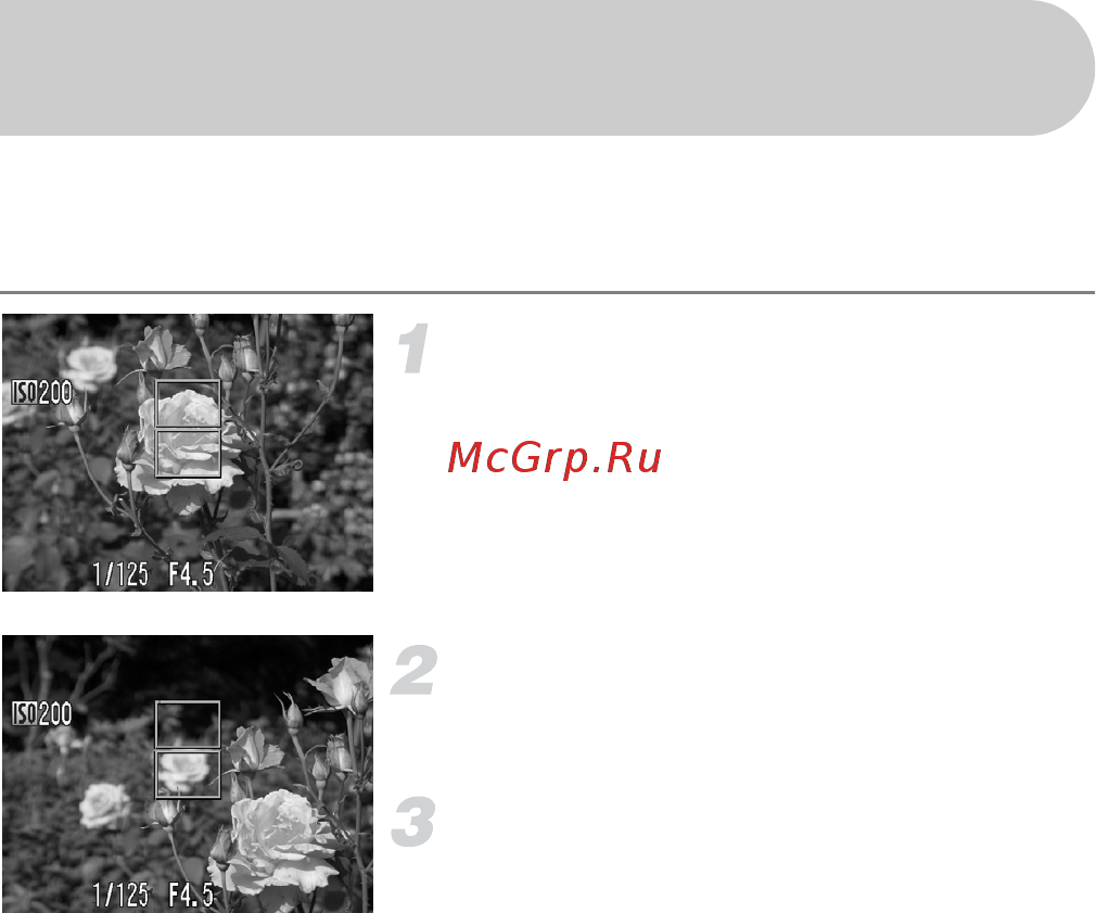 Canon POWERSHOT A2100 IS [74/131] Изменение композиции кадра с помощью фиксации фокусировки