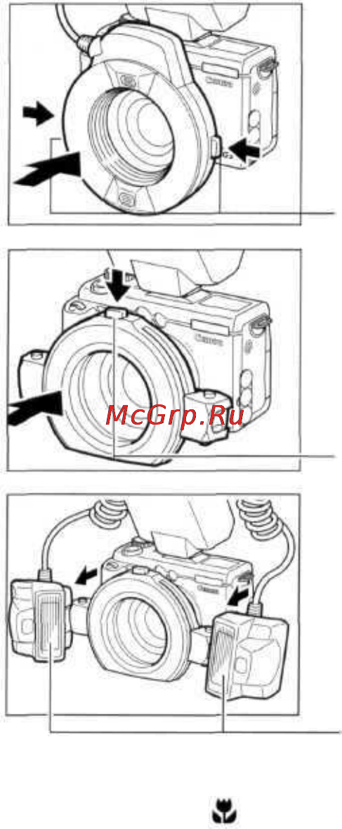 Canon POWERSHOT G3 Инструкция по эксплуатации онлайн [184/209] 84730