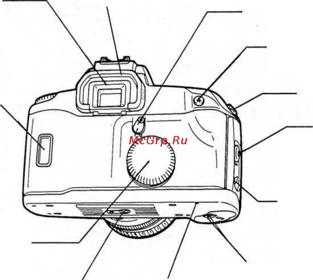Canon EOS 100 [4/80] Потребителя