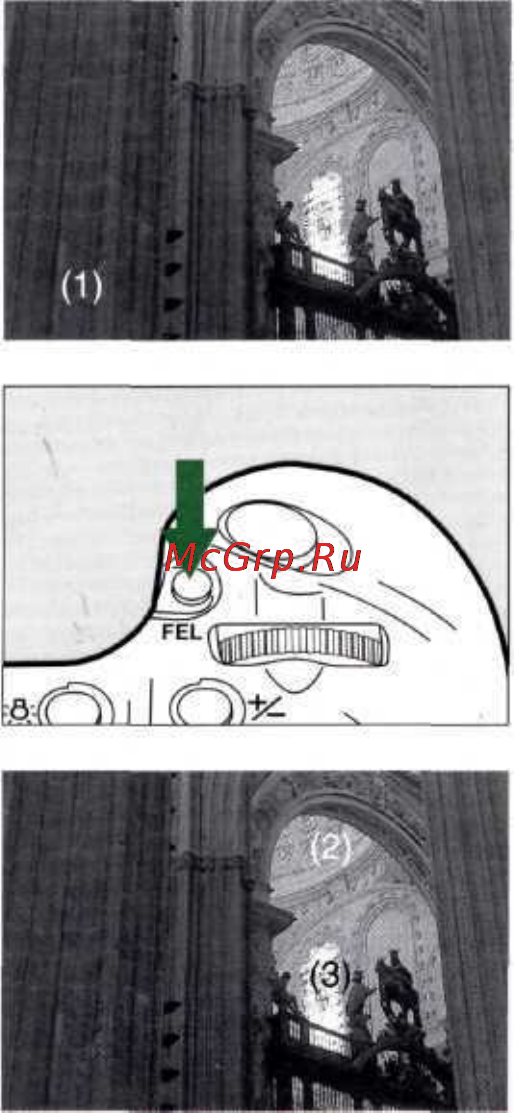 Canon EOS 3 [56/146] Многоточечный замер