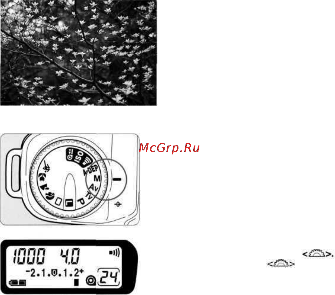 Canon EOS 3000 [42/72] М ручная установка экспозиции