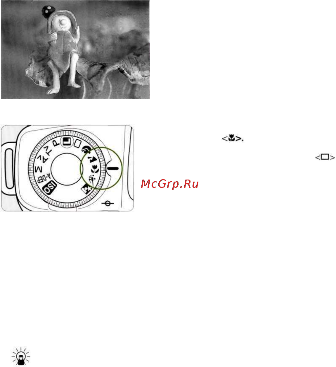 Canon EOS 300QD [30/75] Стр