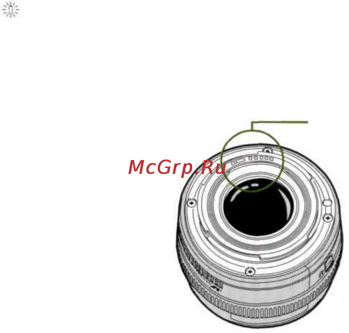 Canon EOS 300QD Инструкция по эксплуатации онлайн [7/75] 84822