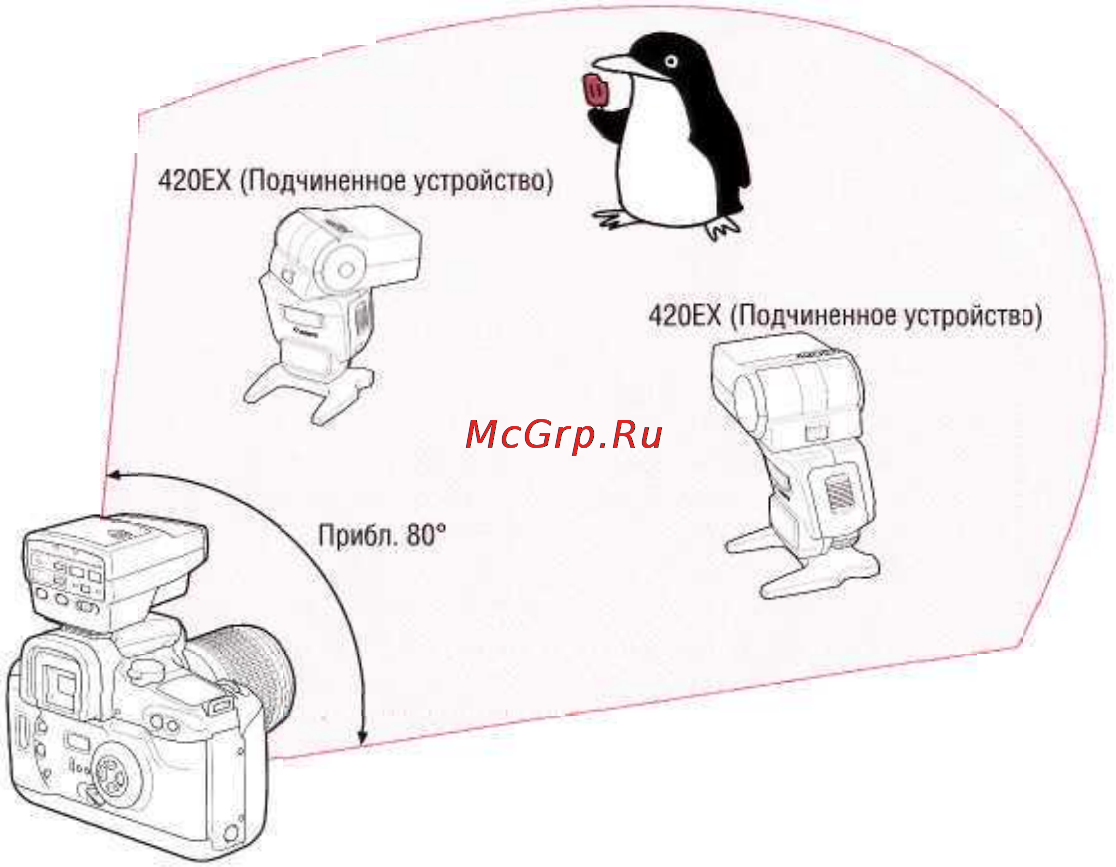 Canon EOS 33 DATE [81/104] Беспроводная система из нескольких вспышек speedllte