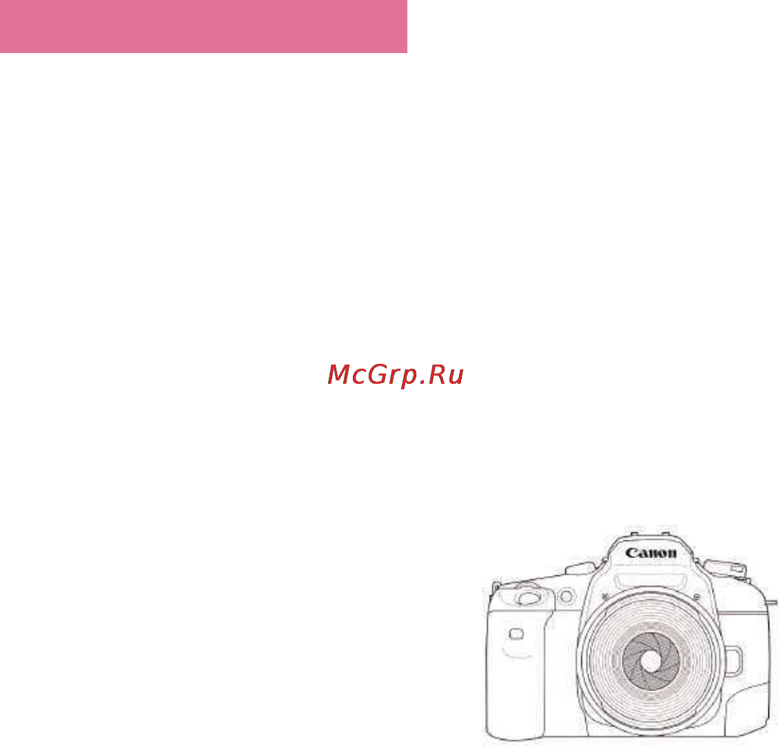 Canon EOS 33 DATE [88/104] Справочная информация