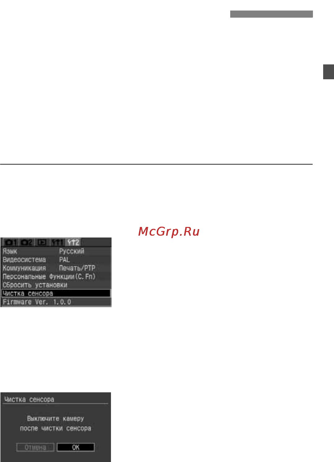 Canon EOS 350D [39/173] Menu чистка датчика cmos