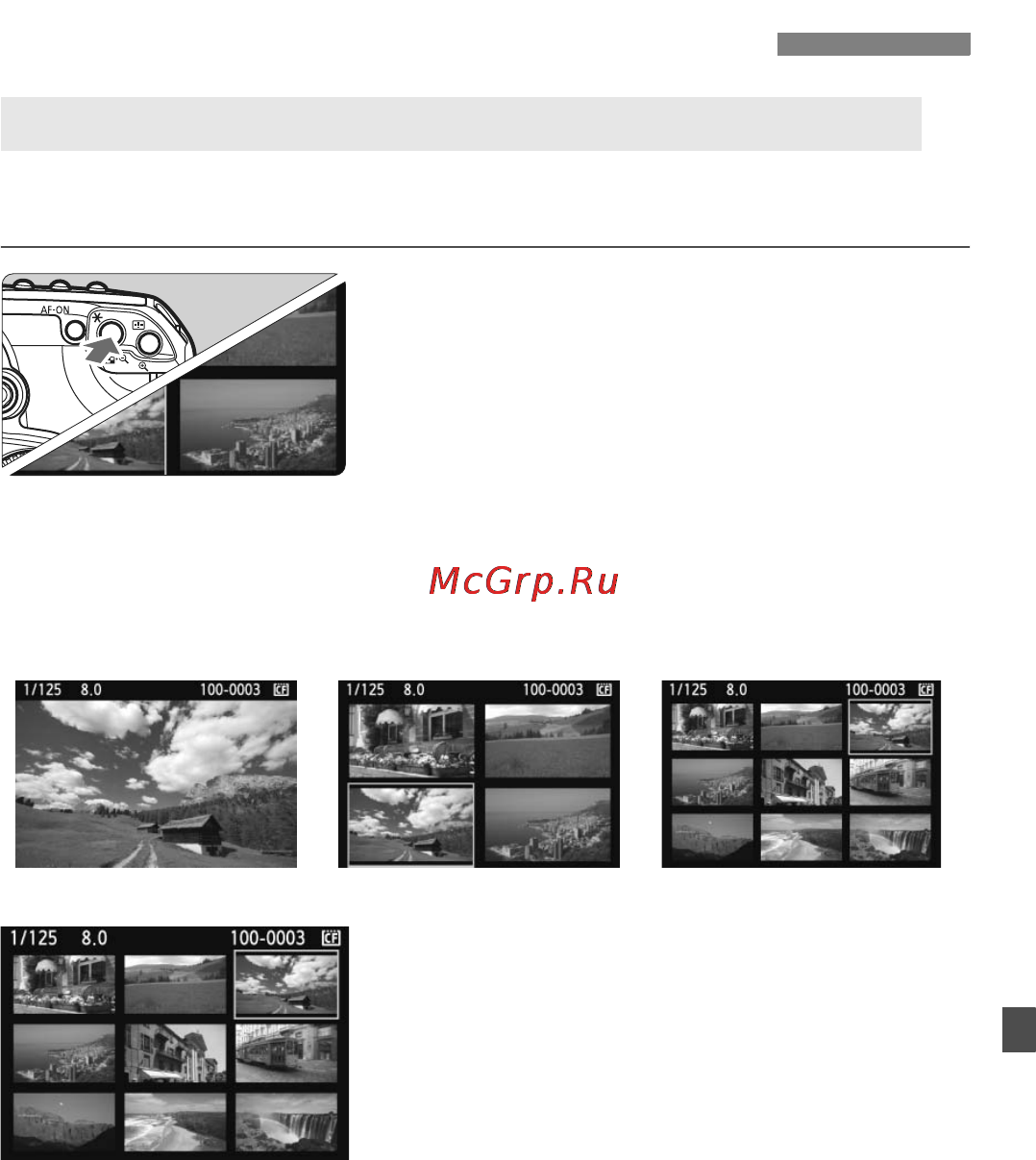 Canon EOS 50D 17-85 [135/224] X быстрый поиск изображений