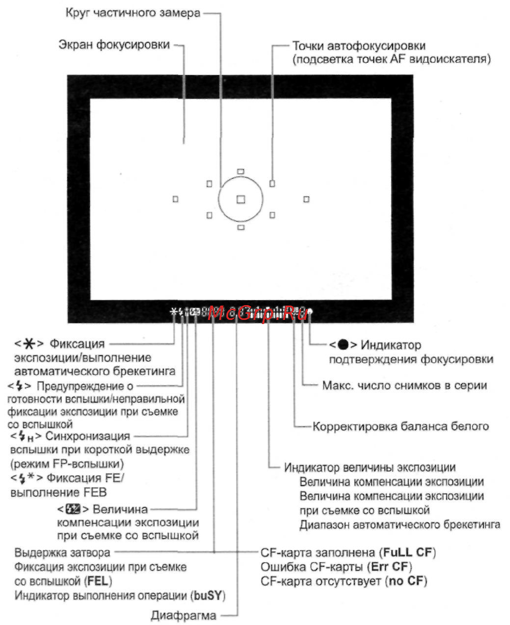 Canon EOS 5D [17/180] Информация в видоискателе