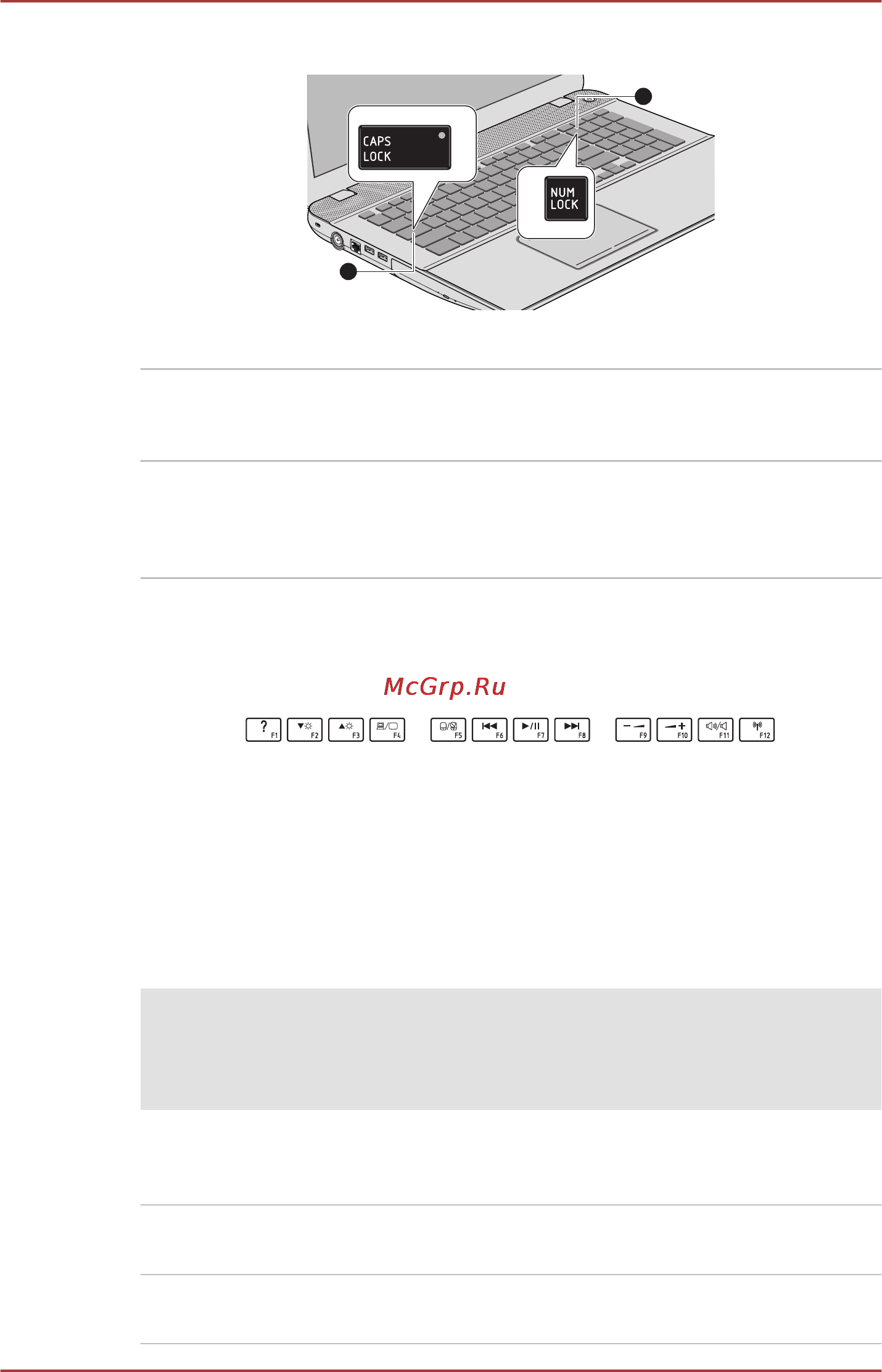 Toshiba SATELLITE P70-A-L1M [57/186] Функциональные клавиши