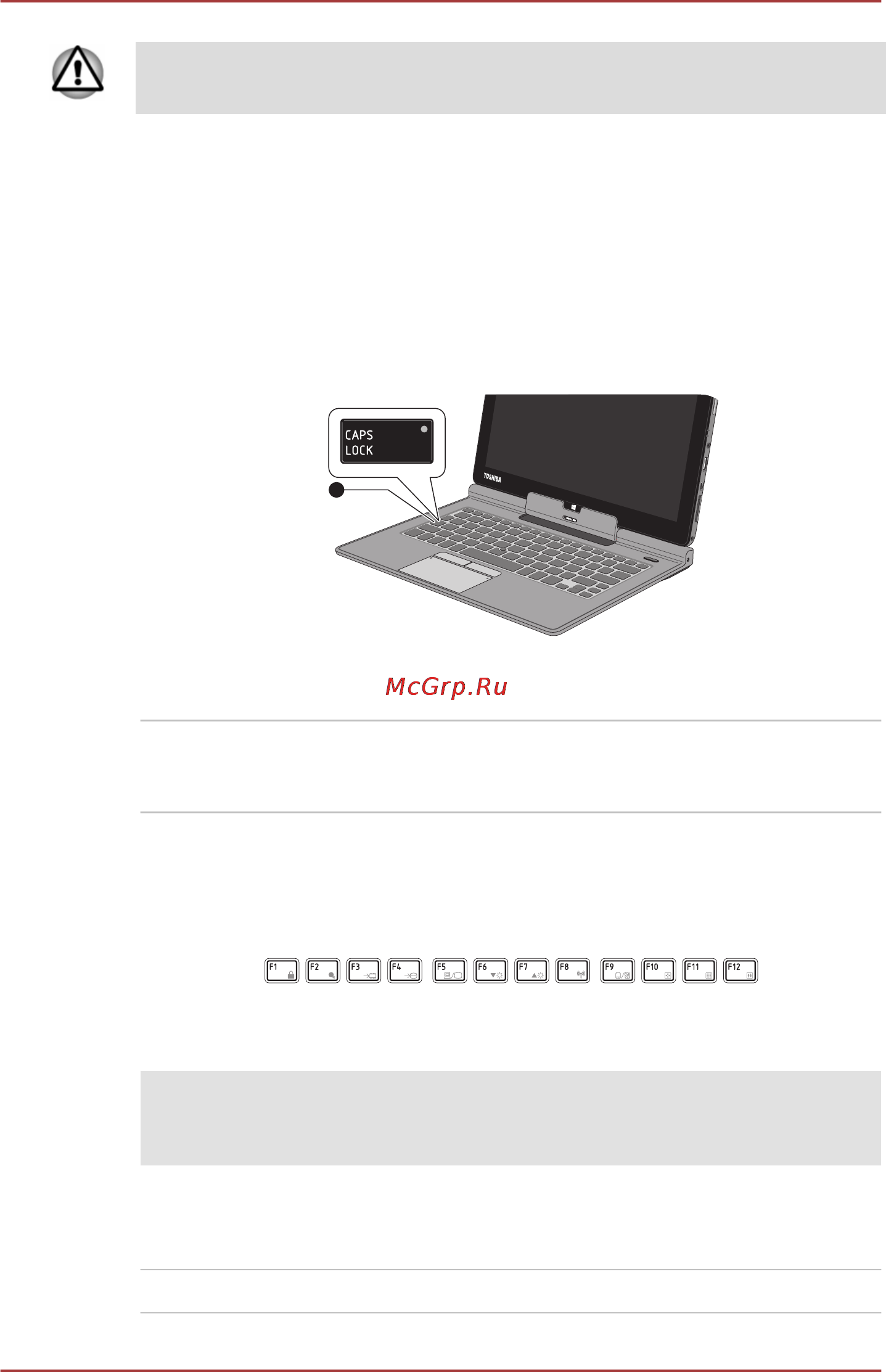Toshiba Portege Z10T-A-L4S [73/156] Индикаторы клавиатуры