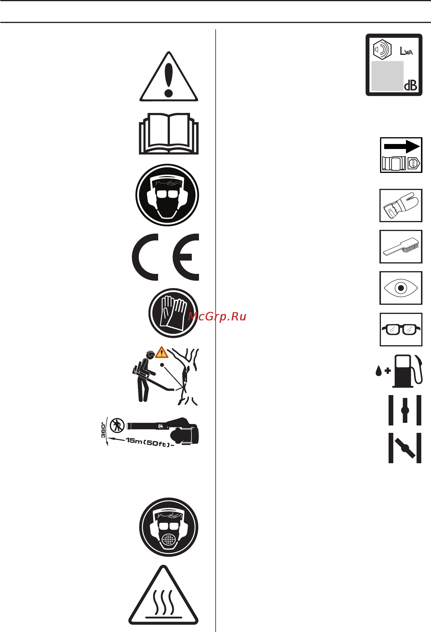 Husqvarna 580BTS [272/458] Symbole