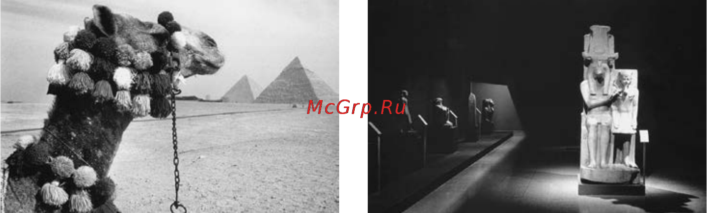 Leica M-E Anthracire/Grey Инструкция по эксплуатации онлайн [52/90] 87640