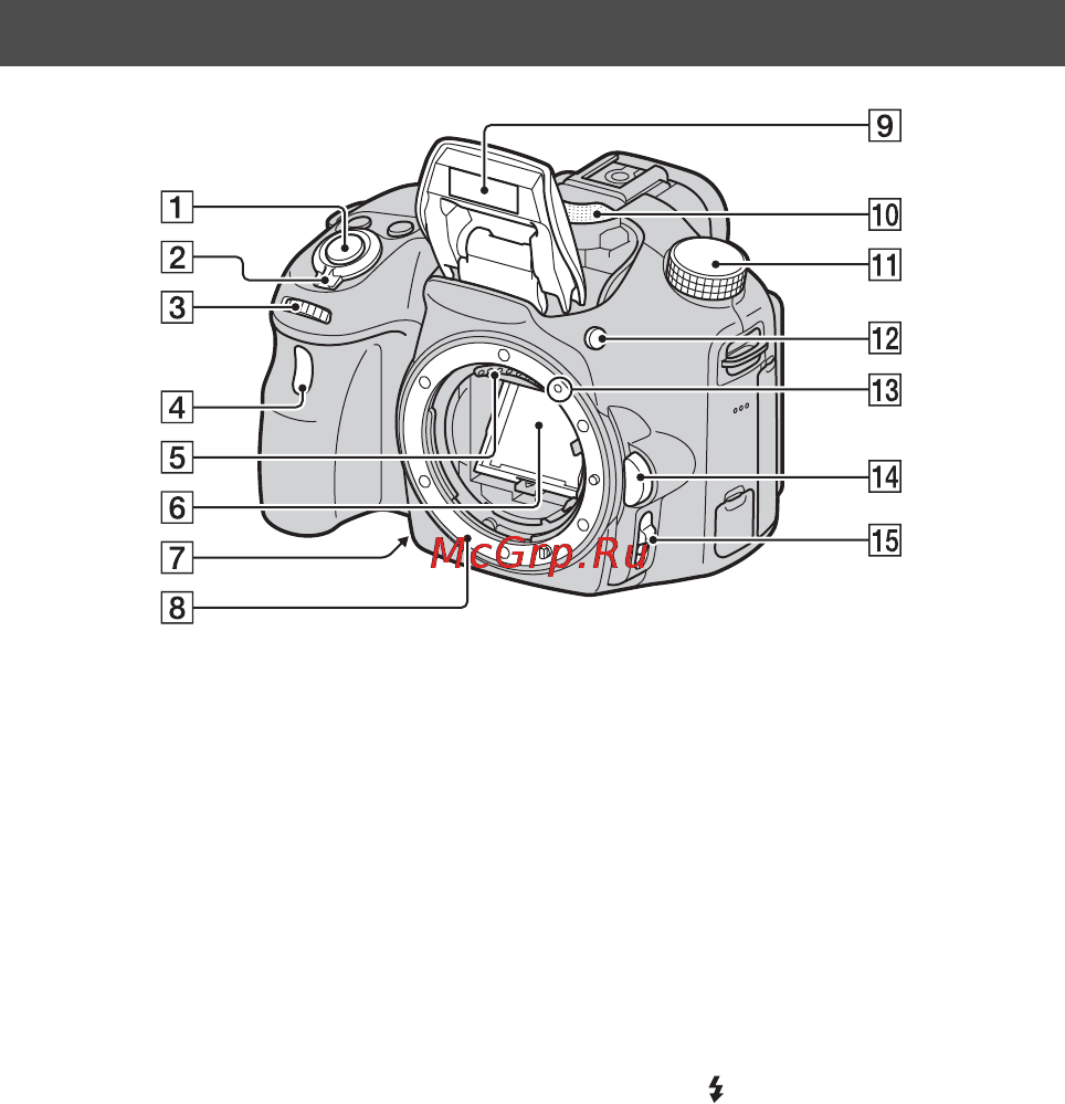 Sony SLT-A58M//Q [236/683] Parte anteriore