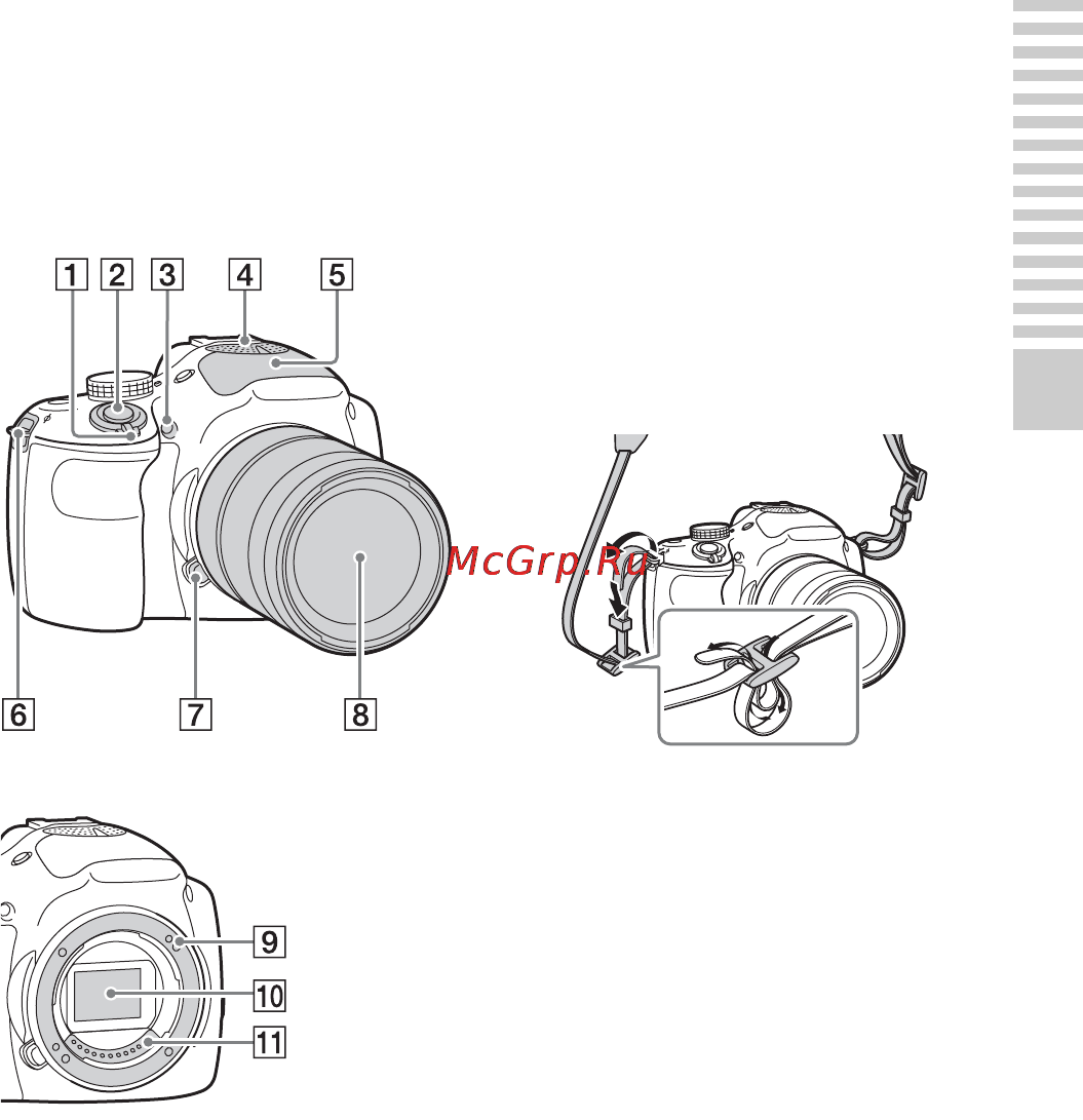 Sony Alpha A3000 Kit 18-55 Black [9/211] Компоненты камеры