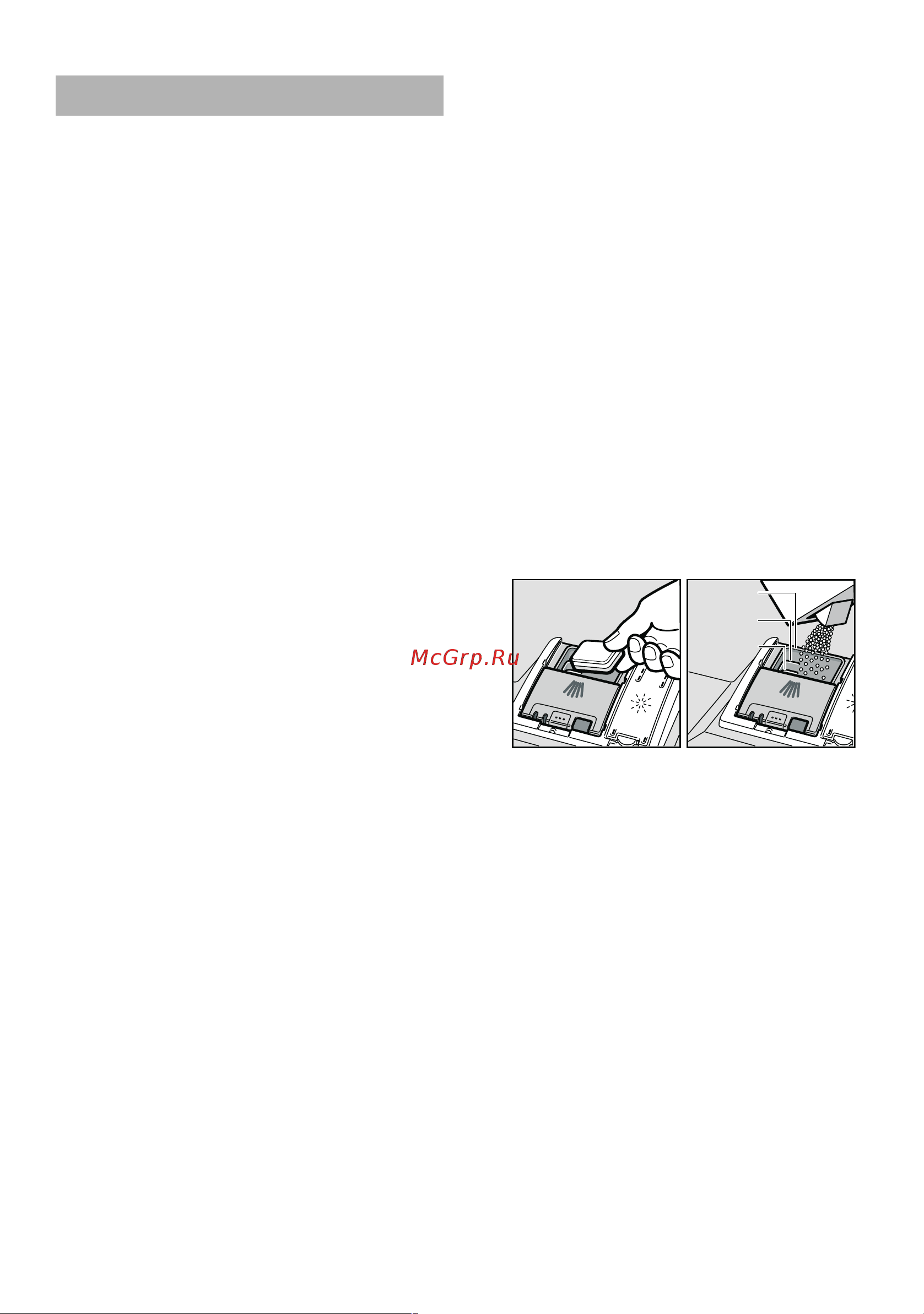 Bosch Silence Plus SPV53Х90RU [14/36] Моющее средство