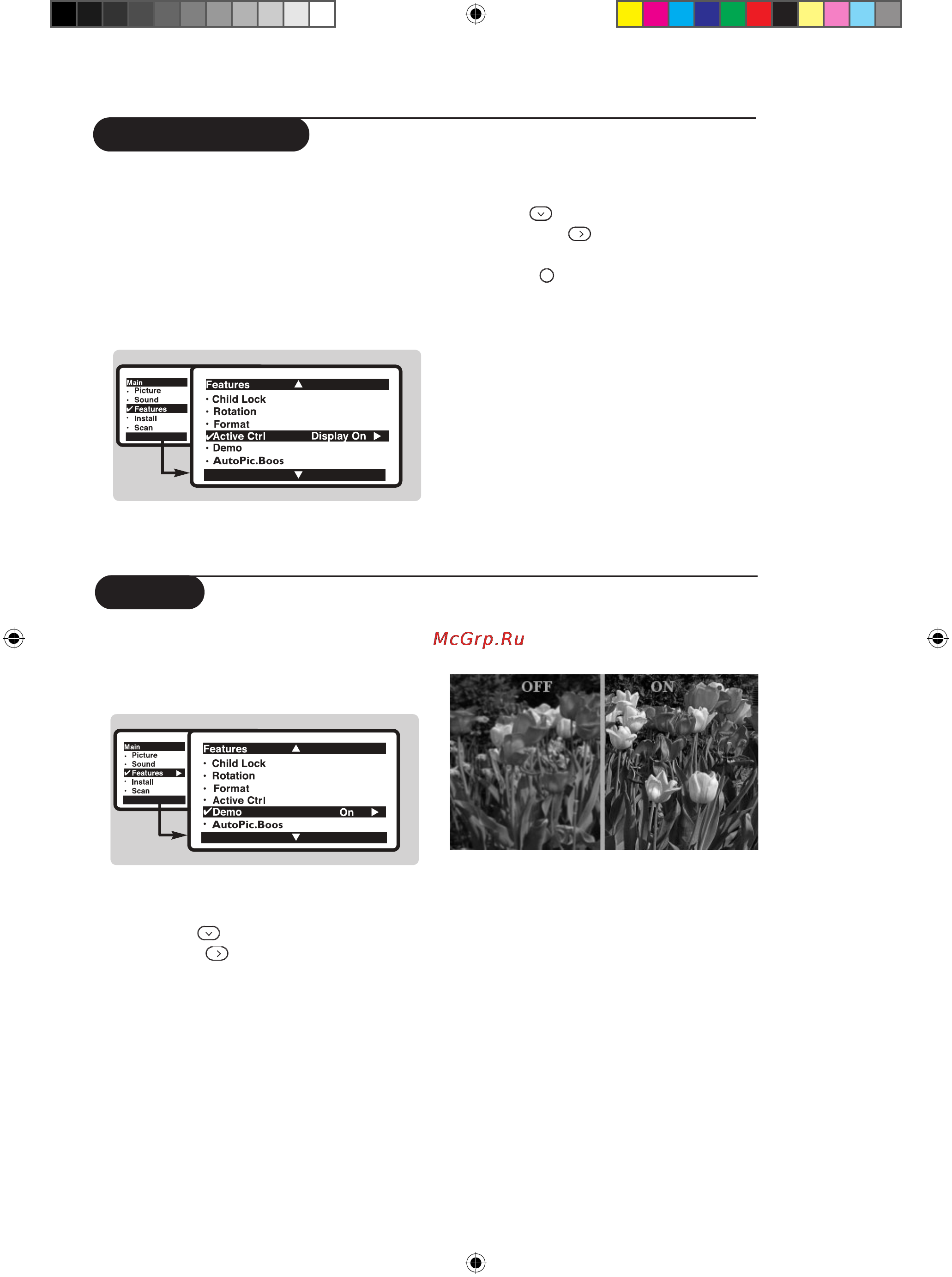 Philips 29PT8842S [13/20] Active control