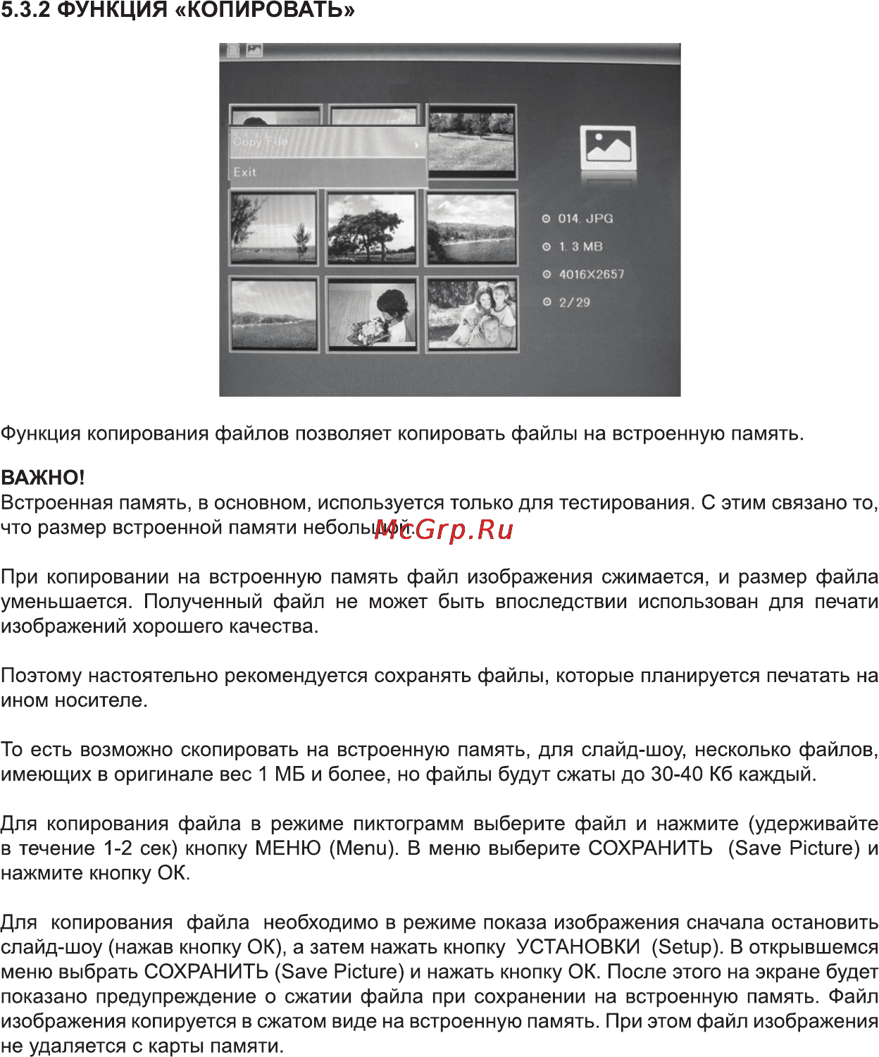 Rekam DEJAVIEW HD-R8 Инструкция по эксплуатации онлайн [13/28] 90592