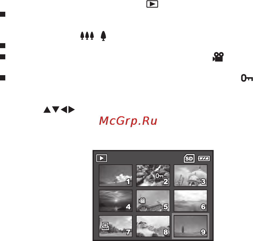 Rekam ILOOK 700 [38/64] Просмотр в иконках