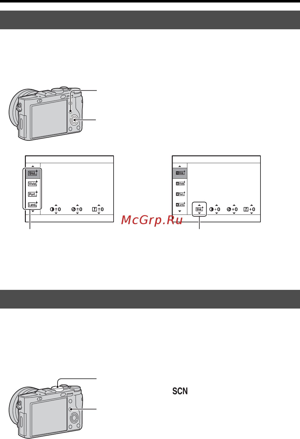 Sony Cyber-shot DSC-RX1R Black [148/171] Творческ стиль
