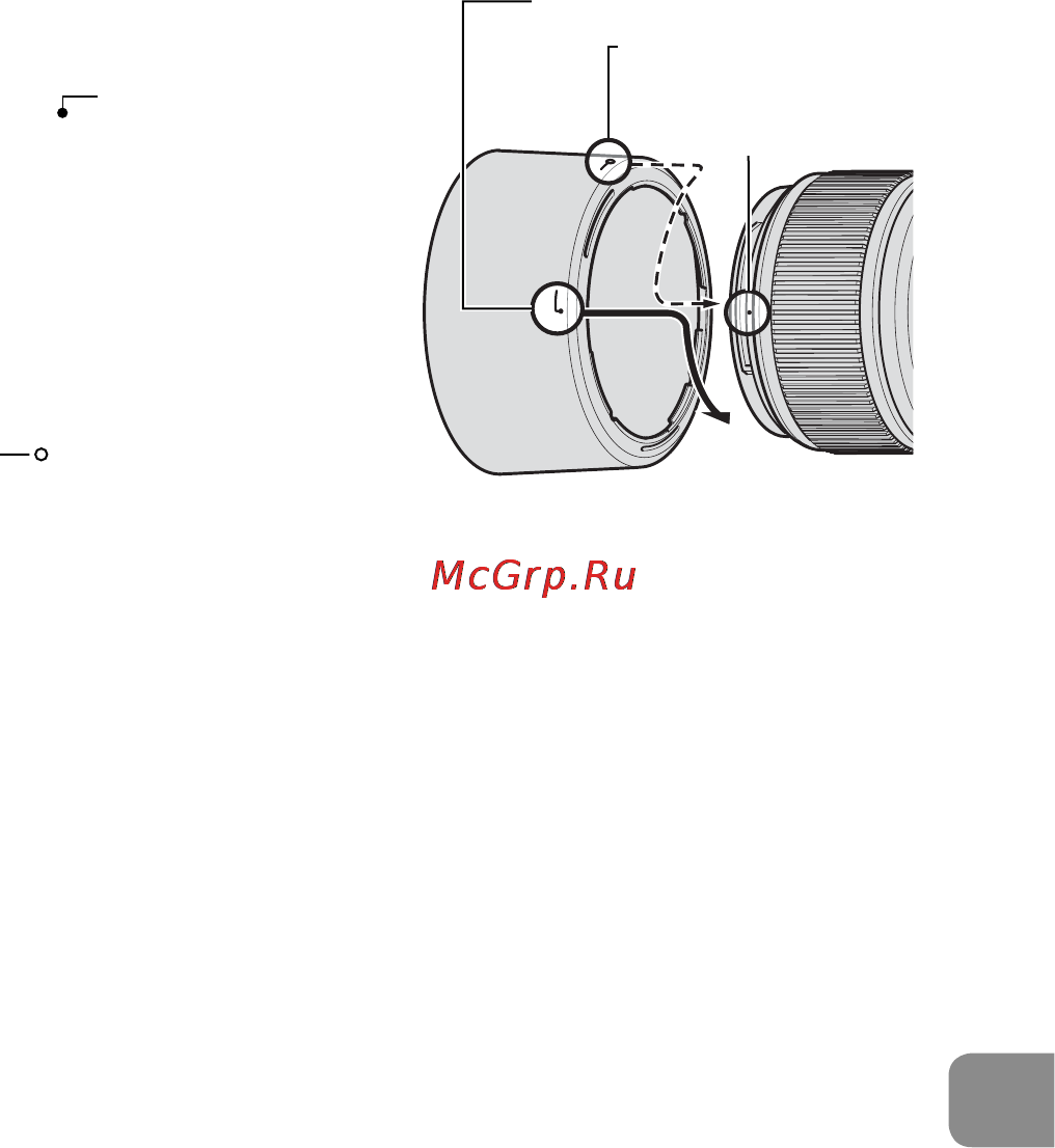 Nikon 60MM F-2.8G AF-S MICRO-NIKKOR [117/154] 使用内置闪光灯的相机拍摄闪光照片