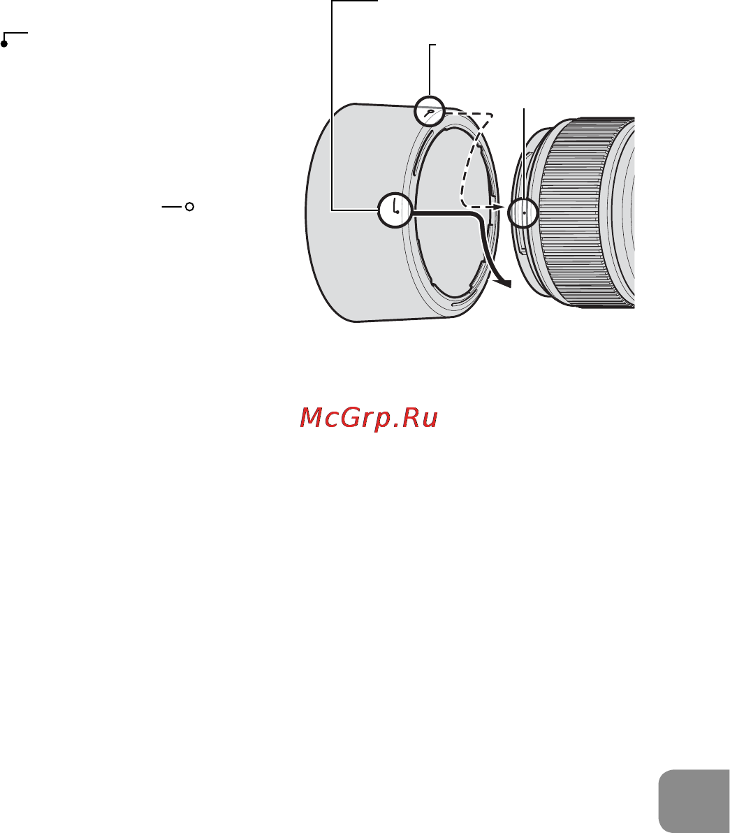 Nikon 60MM F-2.8G AF-S MICRO-NIKKOR [129/154] 使用內置閃光燈的相機拍攝閃光照片