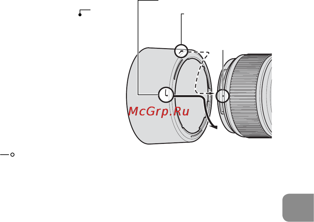 Nikon 60MM F-2.8G AF-S MICRO-NIKKOR [81/154] Съемка на фотокамеру со встроенной вспышкой