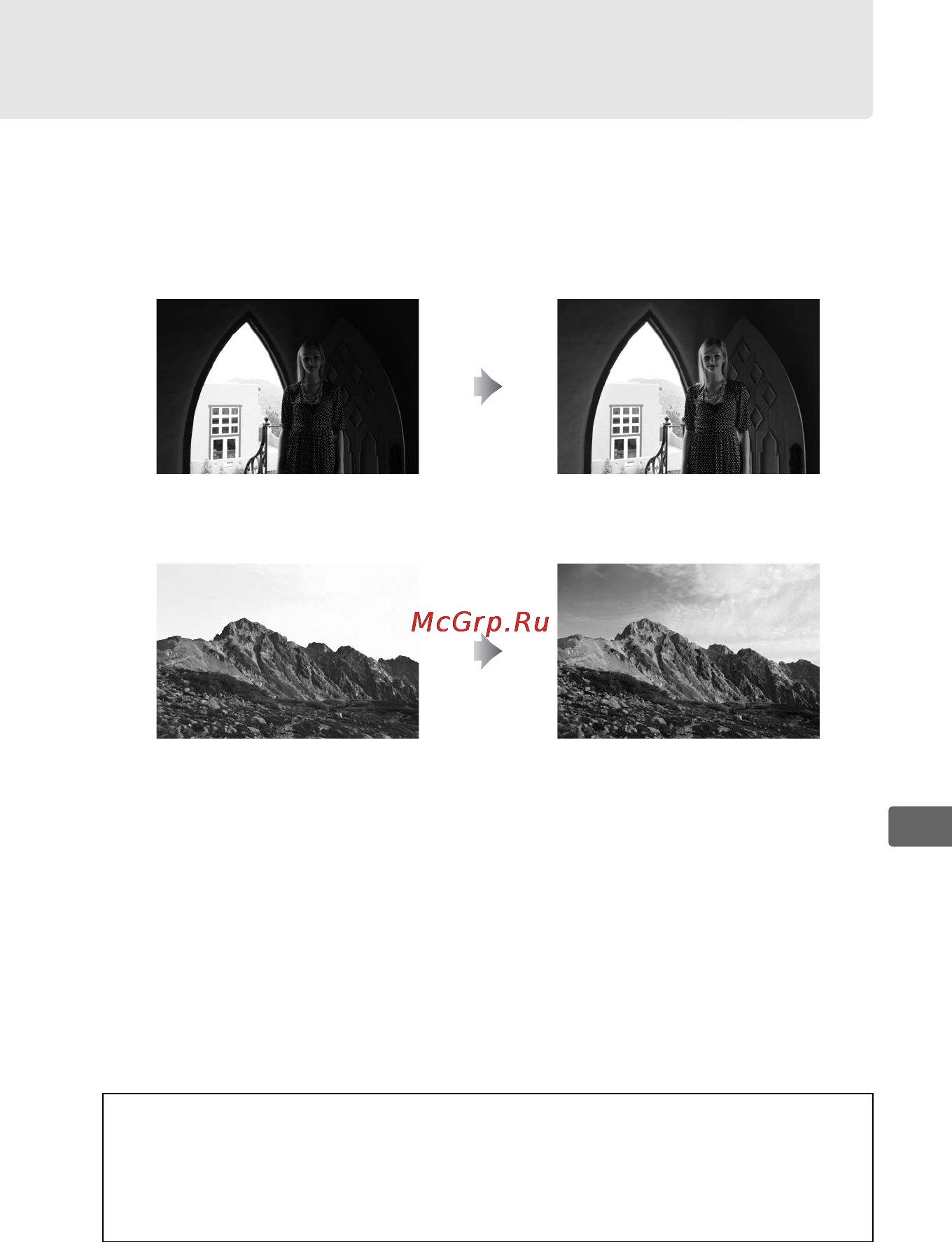 Nikon D3S [207/460] Активный d lighting