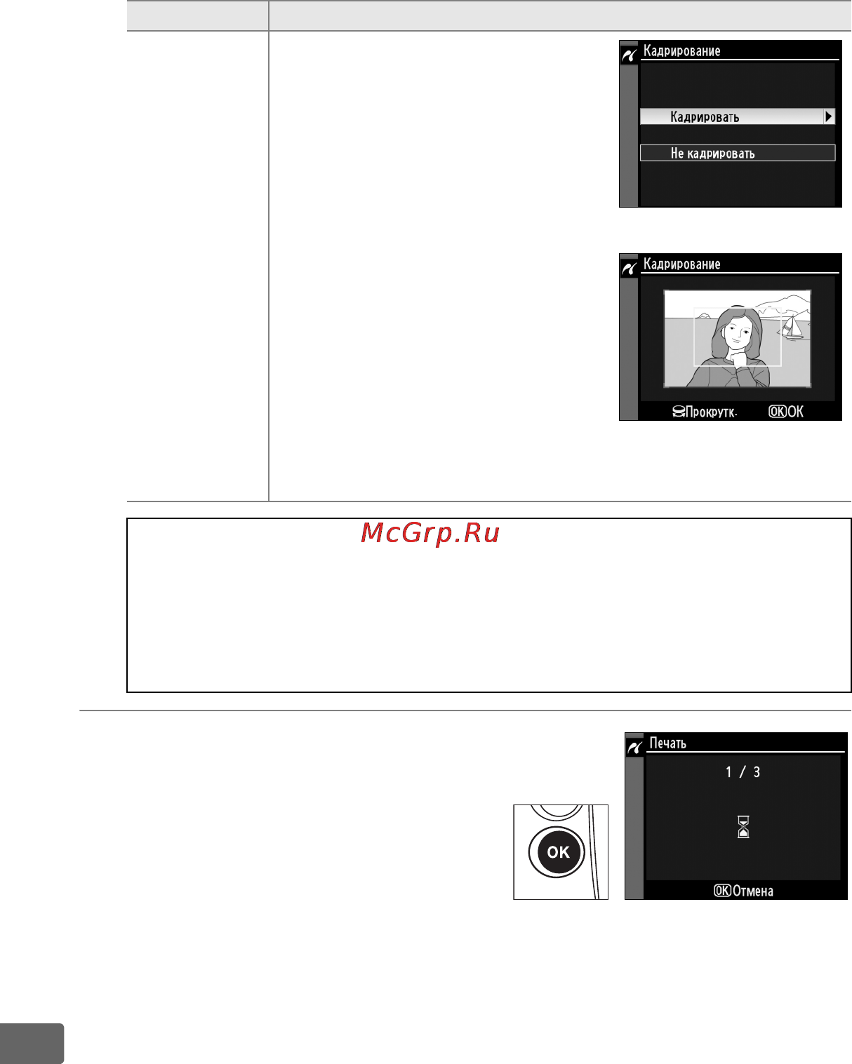 Nikon D3S Инструкция по эксплуатации онлайн [288/460] 90857