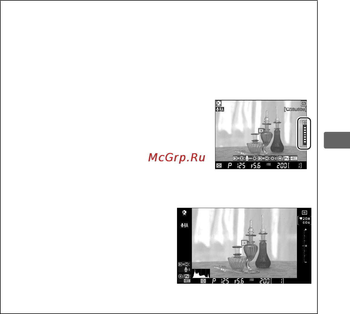Nikon D3S Инструкция по эксплуатации онлайн [89/460] 90857