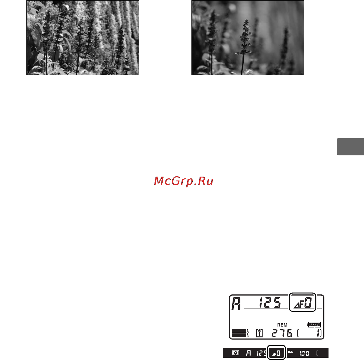 Nikon D3X [145/476] Я 5 вс