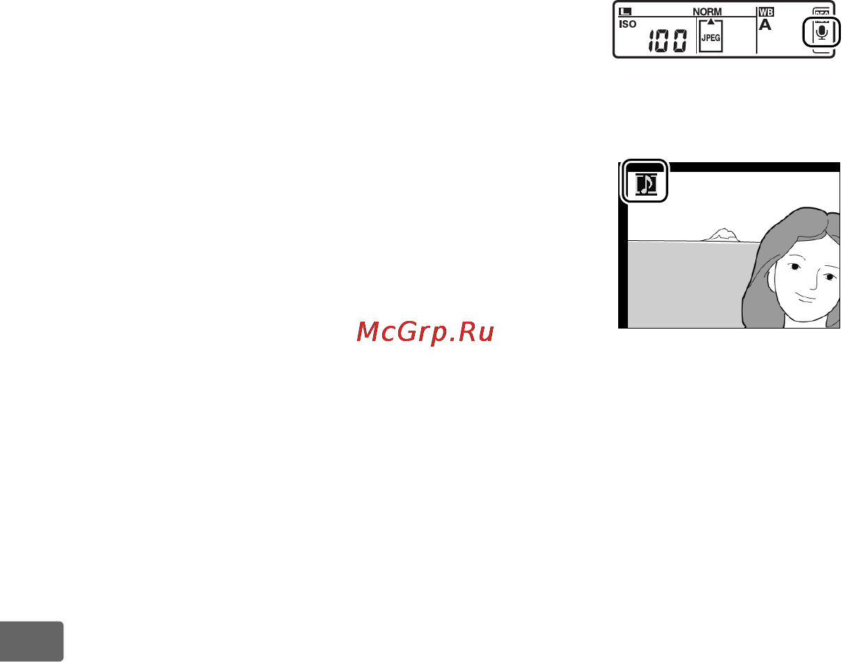 Nikon D3X [278/476] П п и и lj