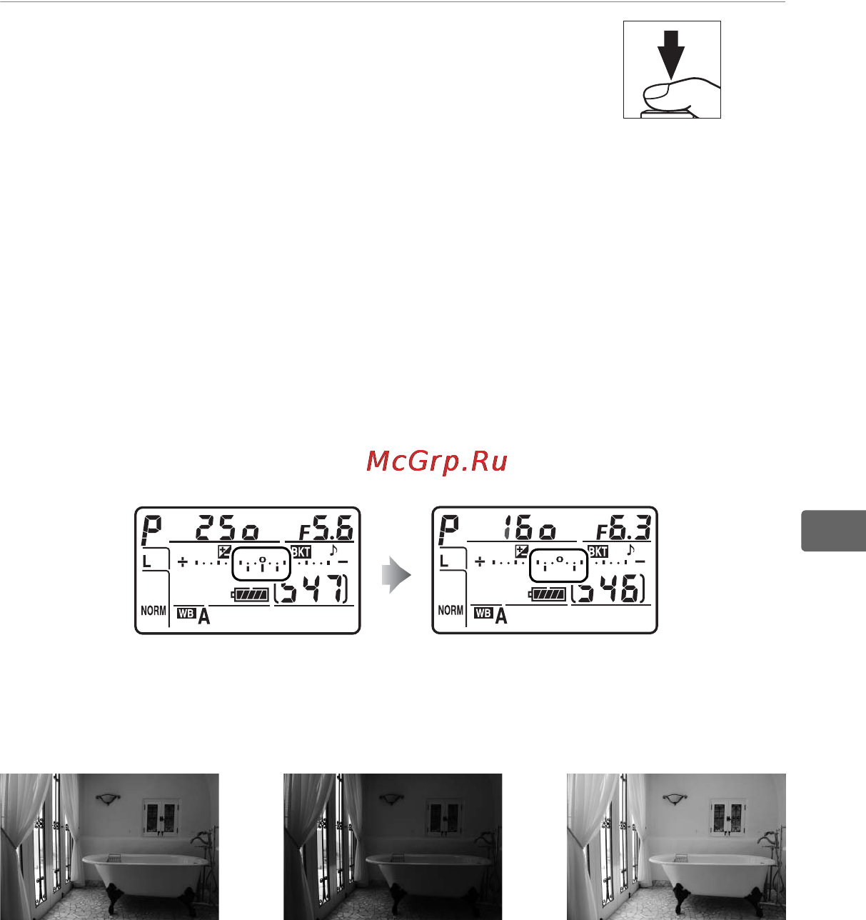 Nikon D700 [159/472] Скомпонуйте кадр выполните