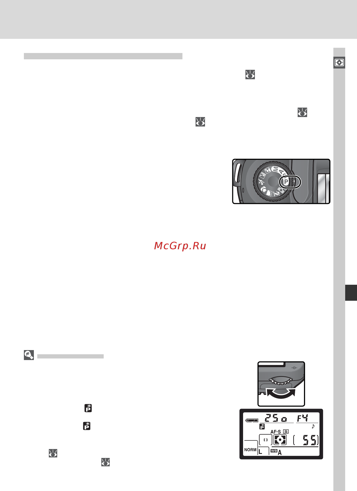 Nikon D70S [87/219] P автоматическая программа
