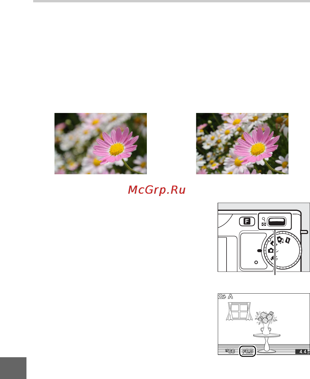 Nikon J2 [134/232] A авт реж с пр диафр