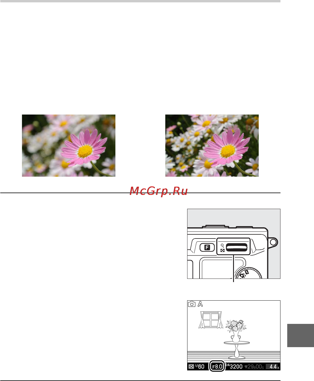 Nikon V1 [135/232] A авт реж с пр диафр