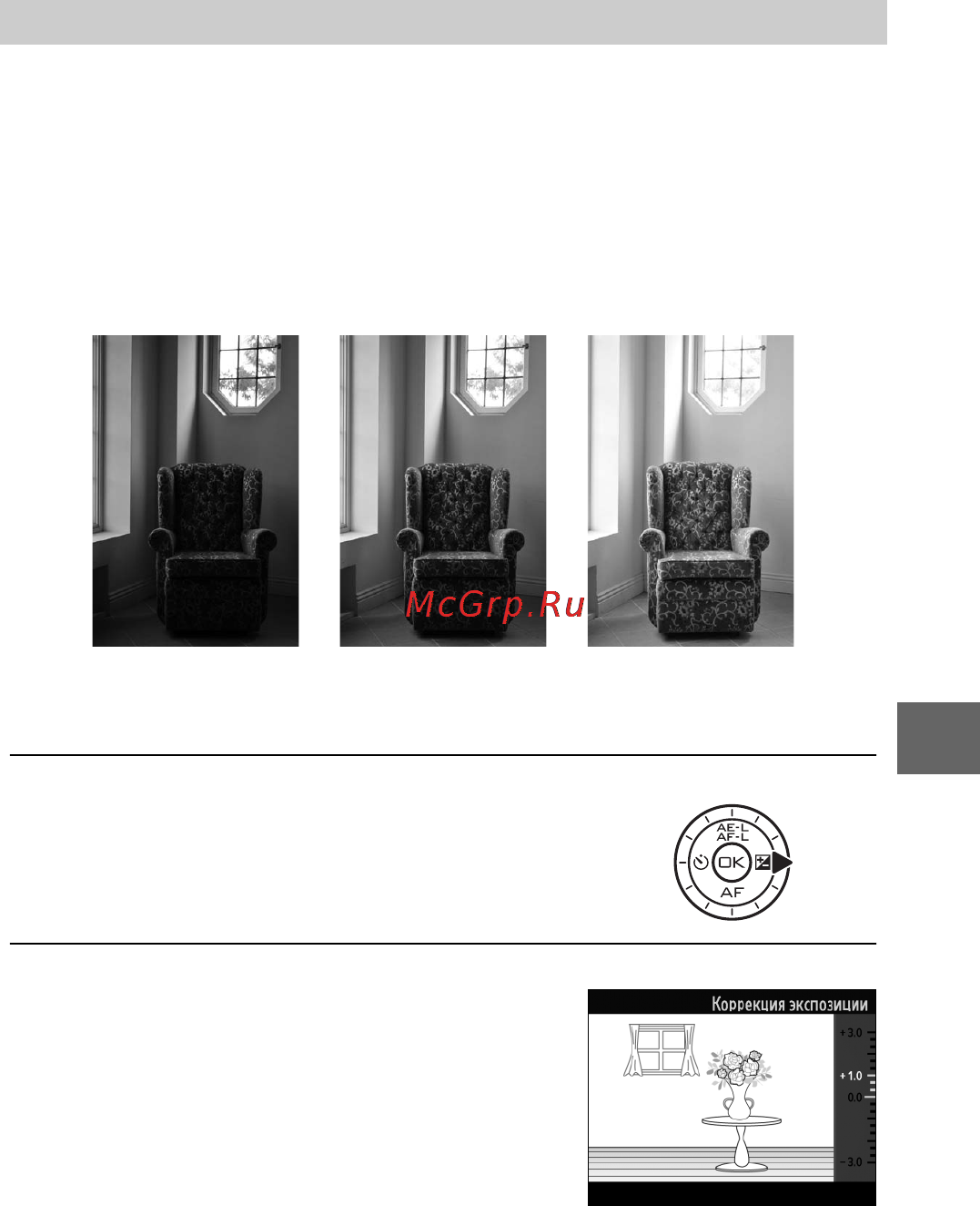 Nikon V1 [77/232] Коррекция экспозиции