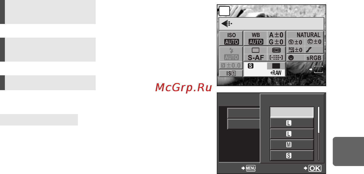 Olympus PEN E-P2 Инструкция по эксплуатации онлайн [67/163] 91489