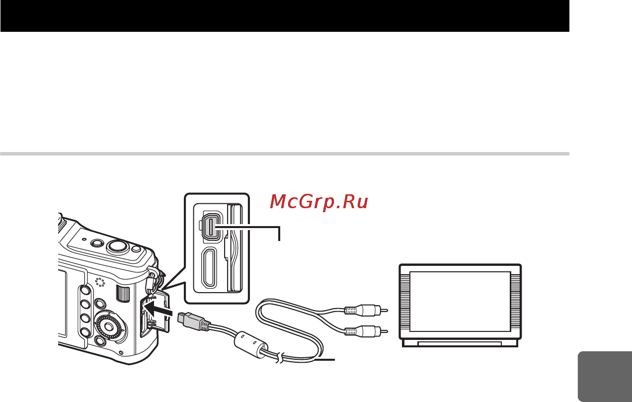 Olympus PEN E-P2 [83/163] Воспроизведение на экране телевизора