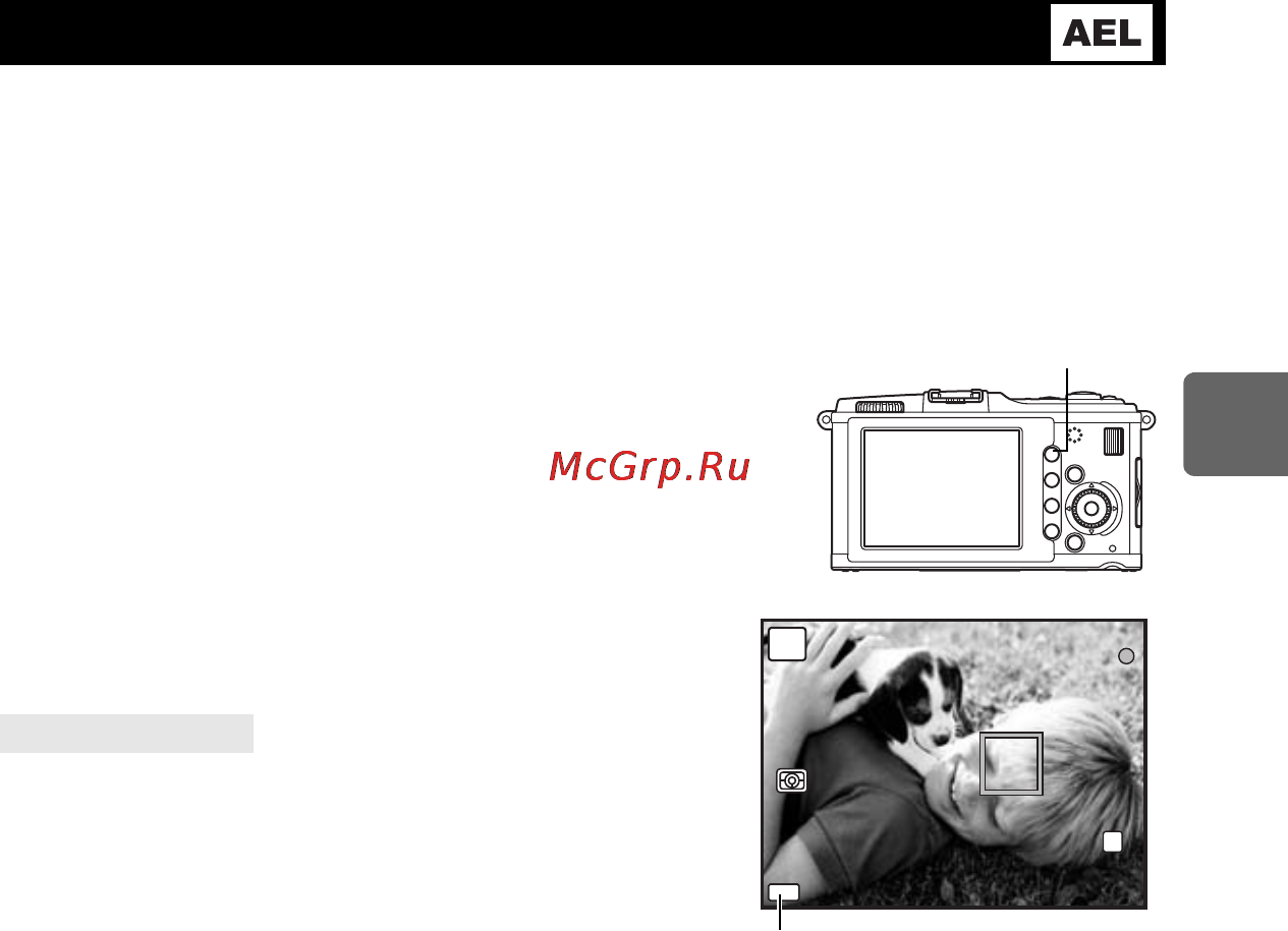 Olympus PEN E-P1 [51/163] Фиксация автоматической экспозиции