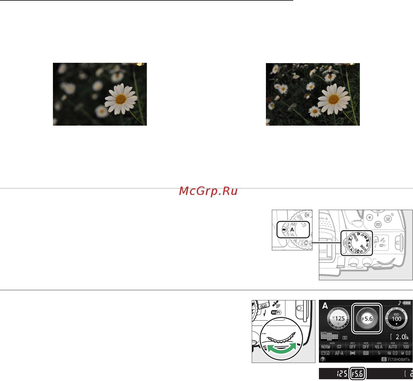 Nikon D5300 Kit 18-55VR Black [106/300] Режим a авт с приор диафрагмы