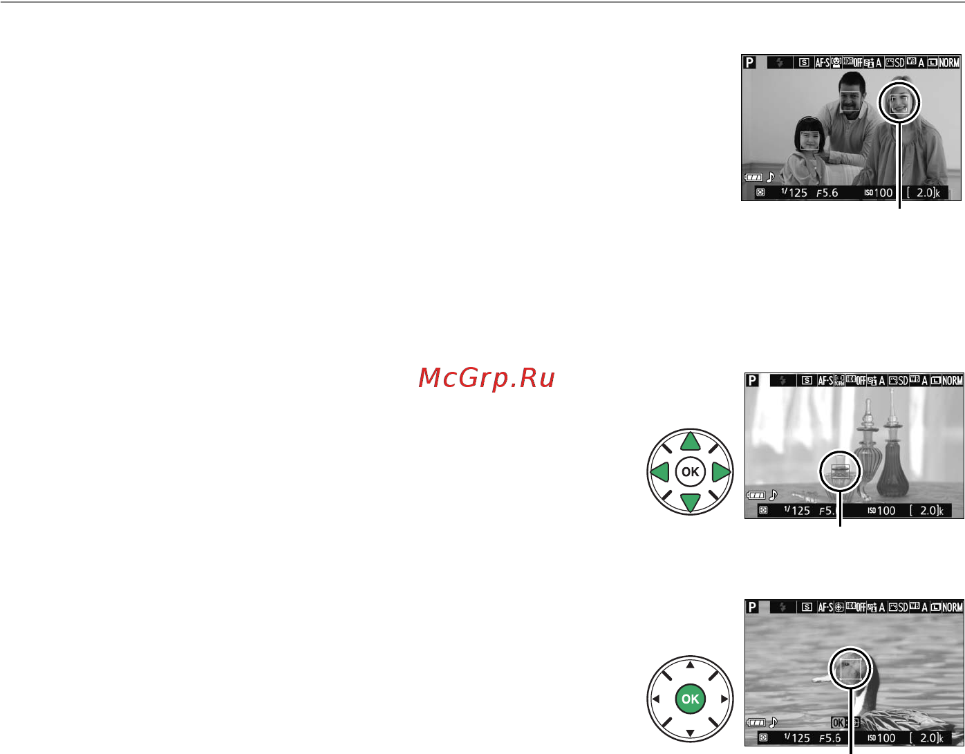 Nikon D5300 Kit 18-55VR Black [141/300] Live view