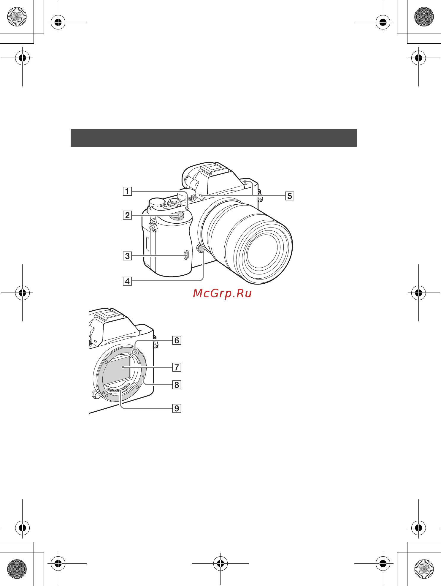 Sony Alpha A7 Kit 28-70 mm [124/210] Визначення частин