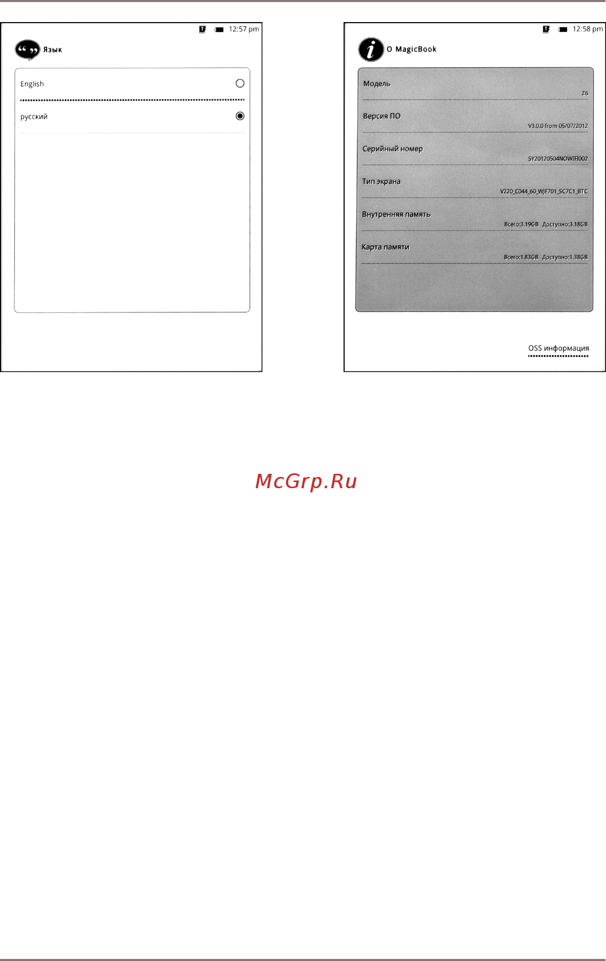 Gmini MAGICBOOK Z6 [34/40] Язы