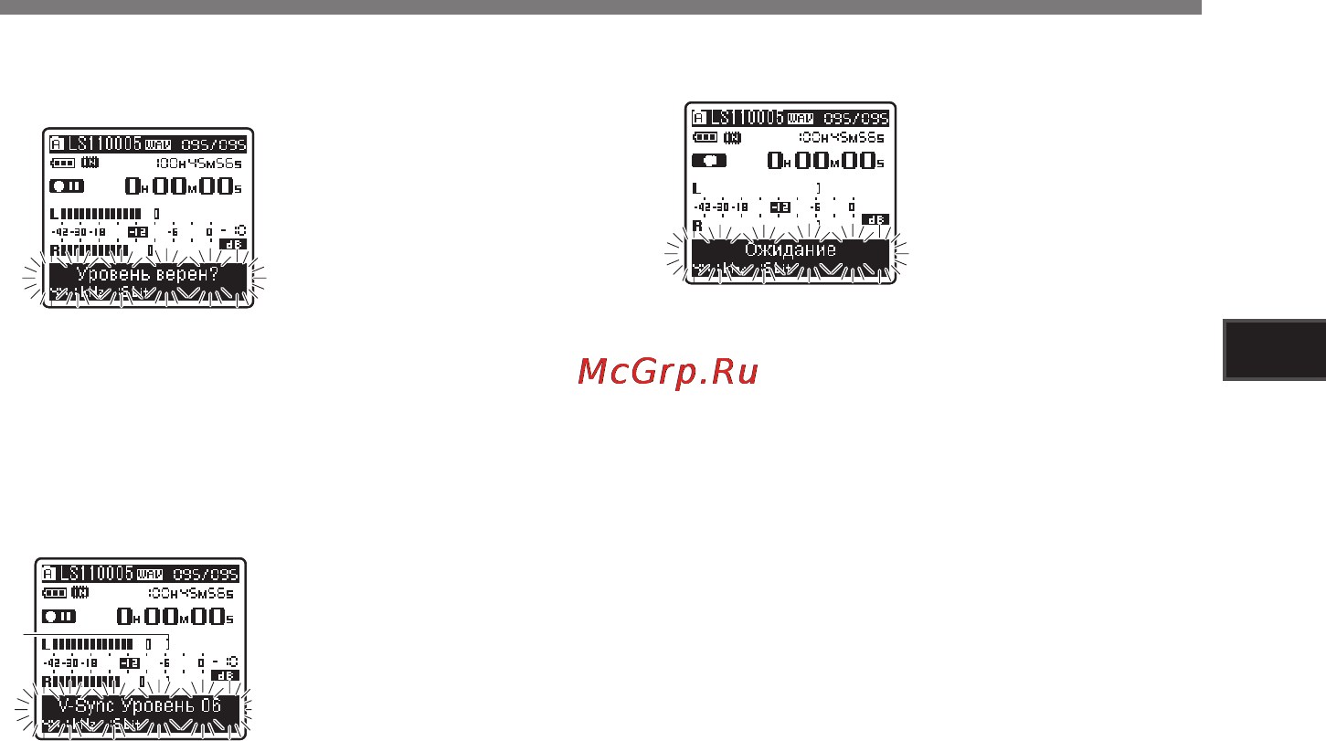 Olympus LS-11 [29/86] Запись