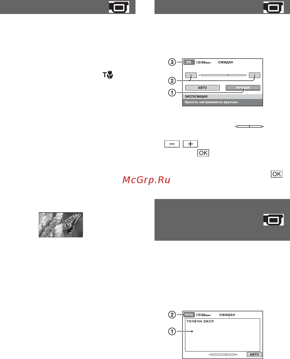 Sony DCR-SR42E [80/155] Телемакро