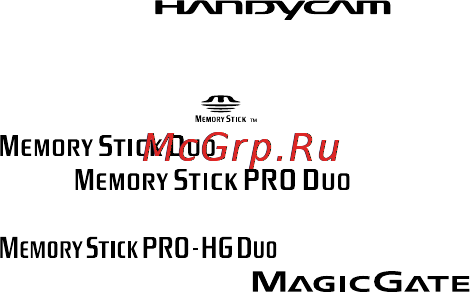 Sony DCR-SX45E [132/142] Про торговельні марки