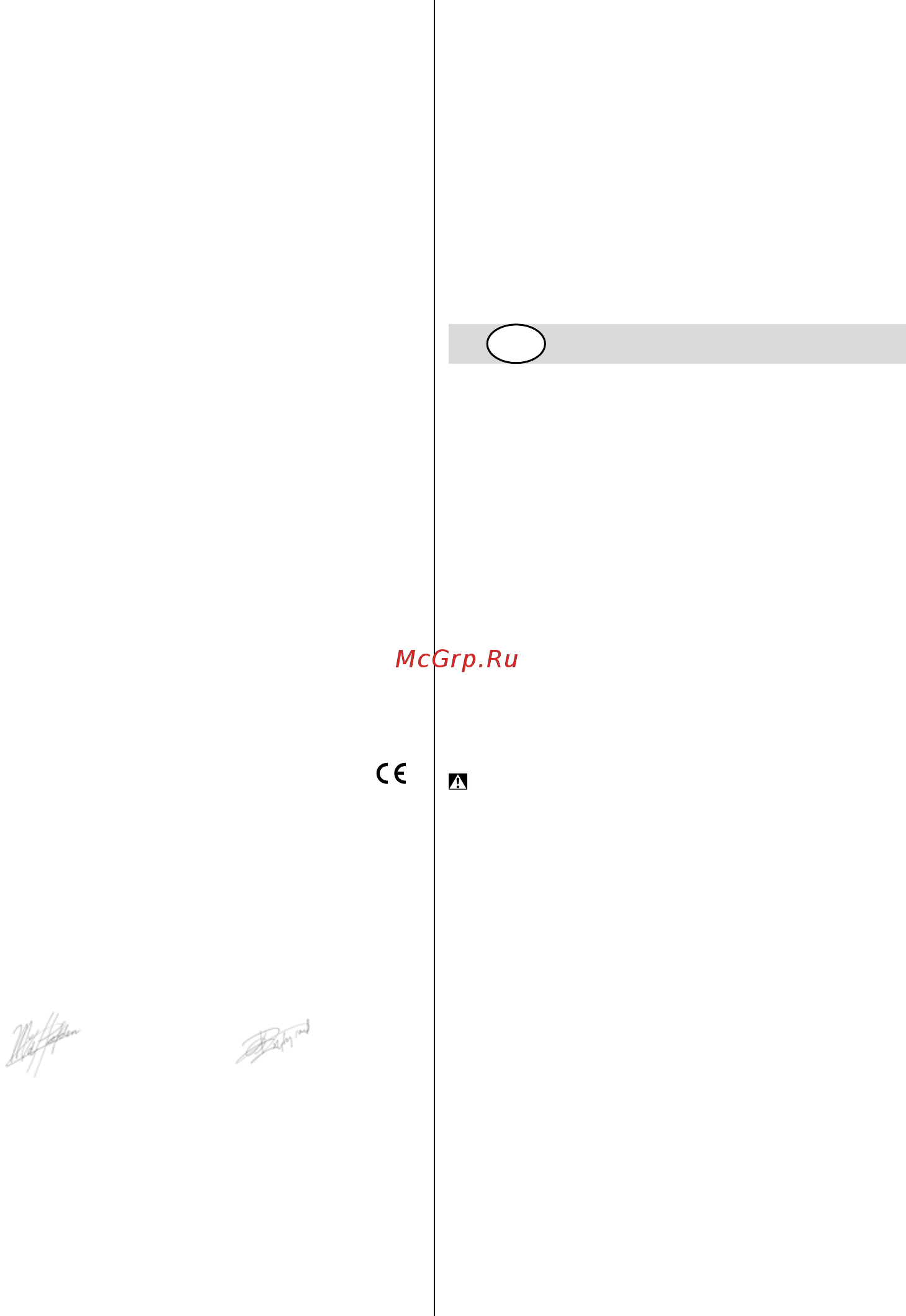 Skil 5265 (F 015 526 5LD) [98/160] Declaratie de conformiate cc
