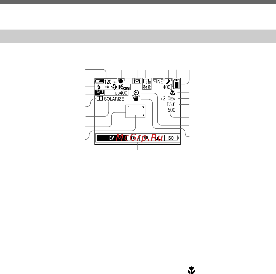 Sony CYBER-SHOT DSC-P3 [96/100] Lcd screen indicators