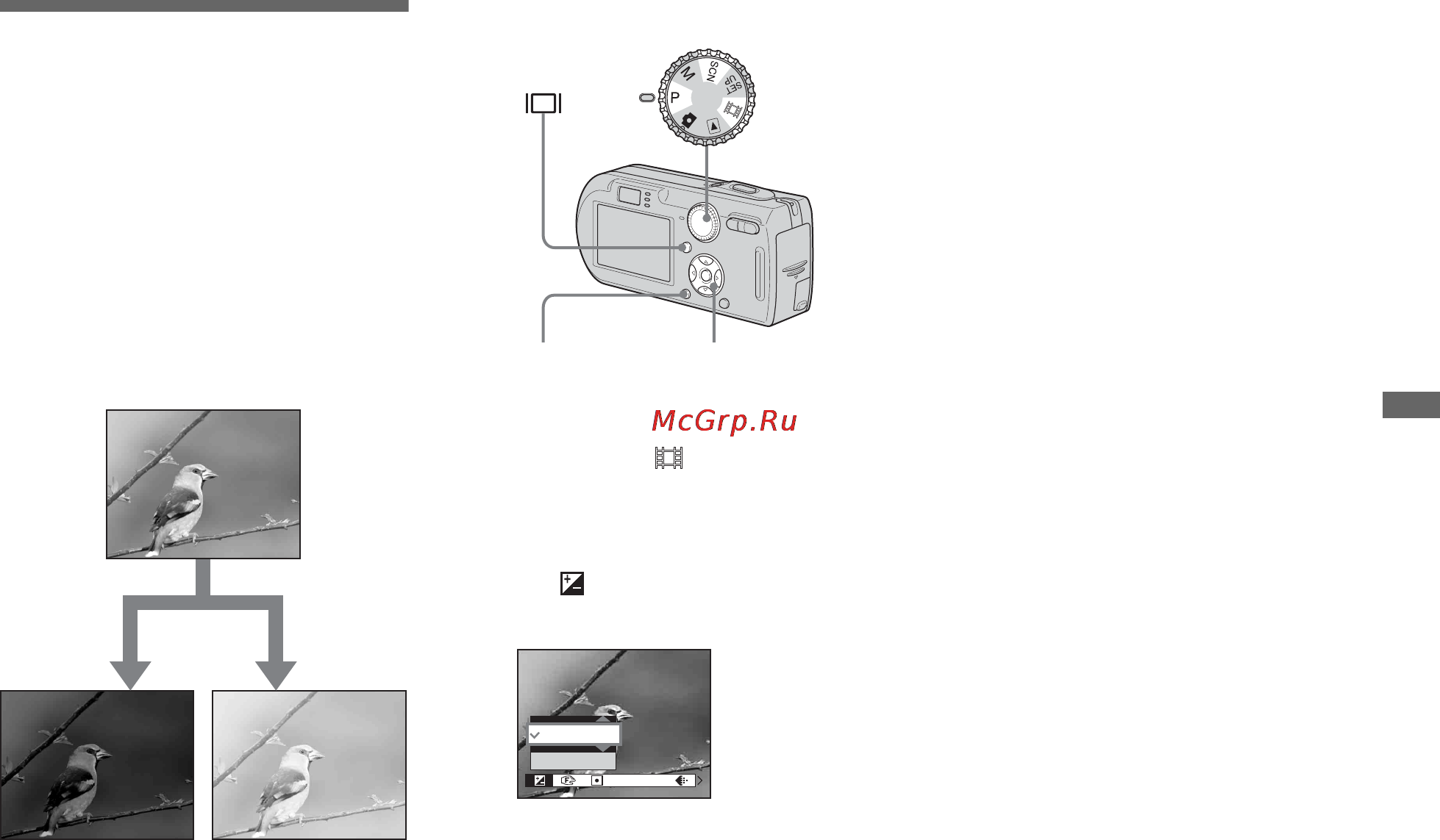 Sony CYBER-SHOT DSC-P150 [203/280] Fininställning av exponeringen