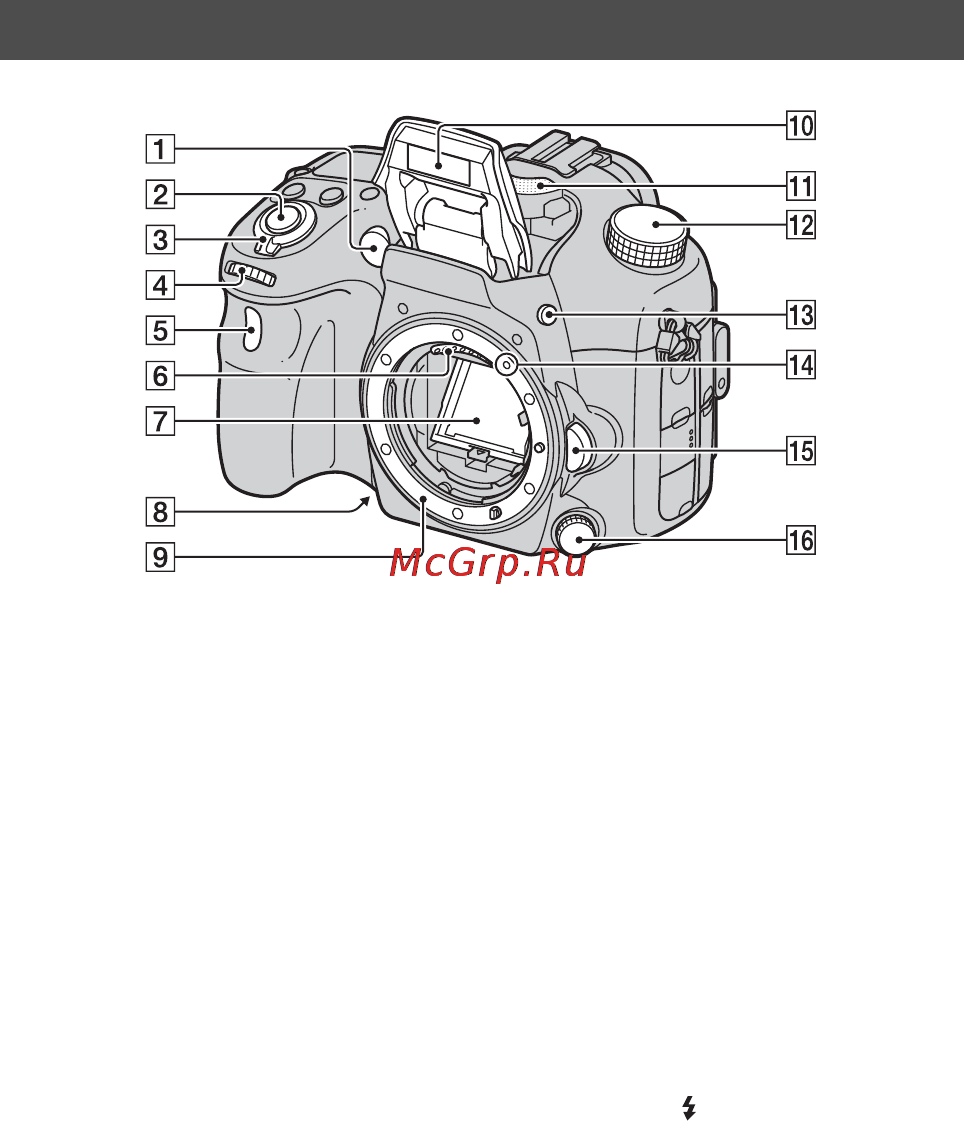 Sony SLT-A77V [18/546] Элементы фотоаппарата